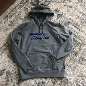 Patagonia gray hoodie size M